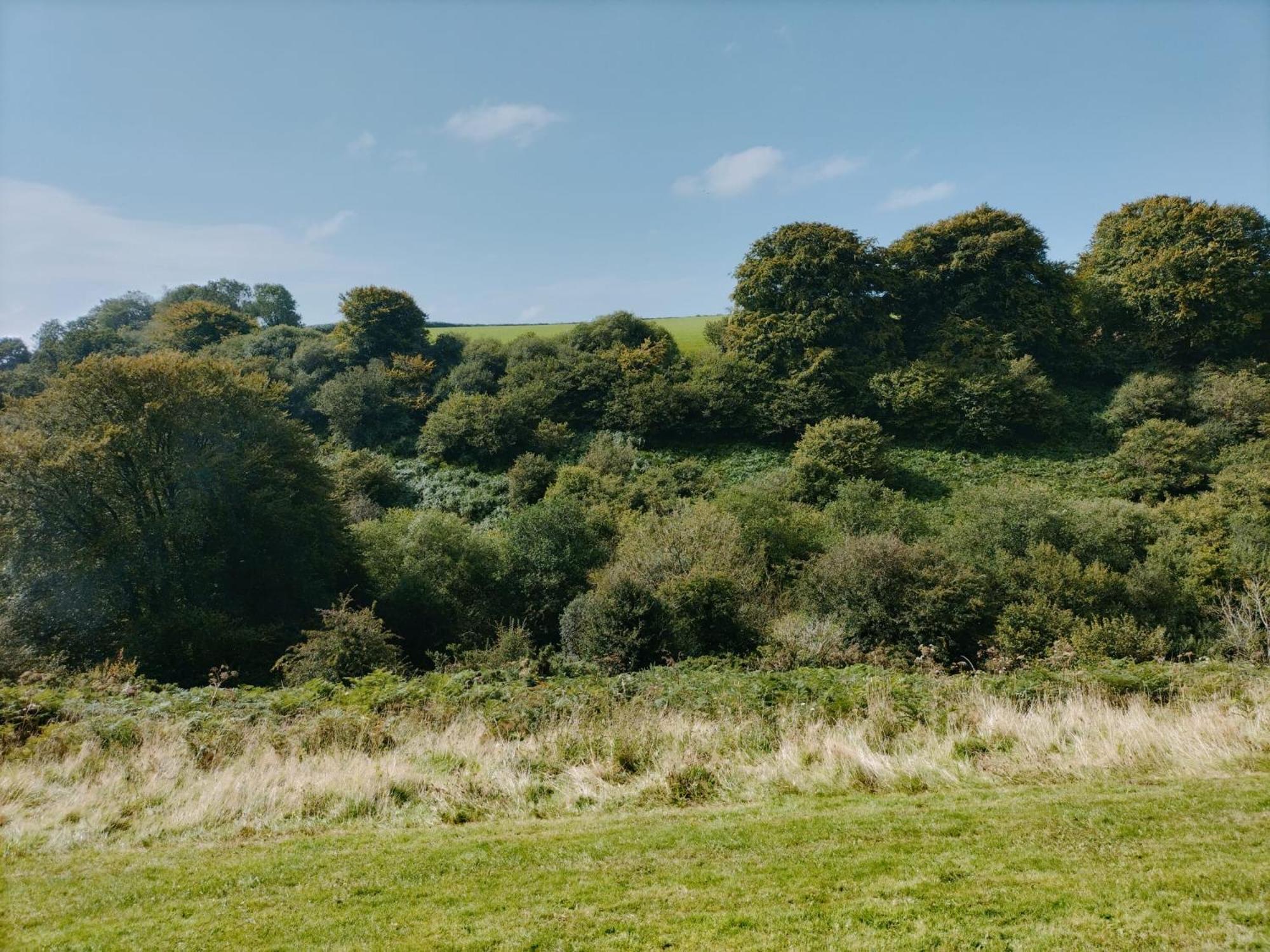Apartamento 22 Stowford Gardens Combe Martin Exterior foto
